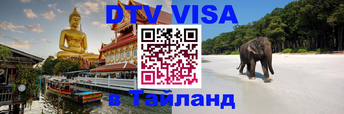 Оформление DTV визы под ключ: стоимость и тарифы, только загранпаспорт - Димитровград  18.11.2025 